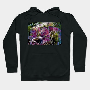 Colorful Hydrangea Ornament Hoodie